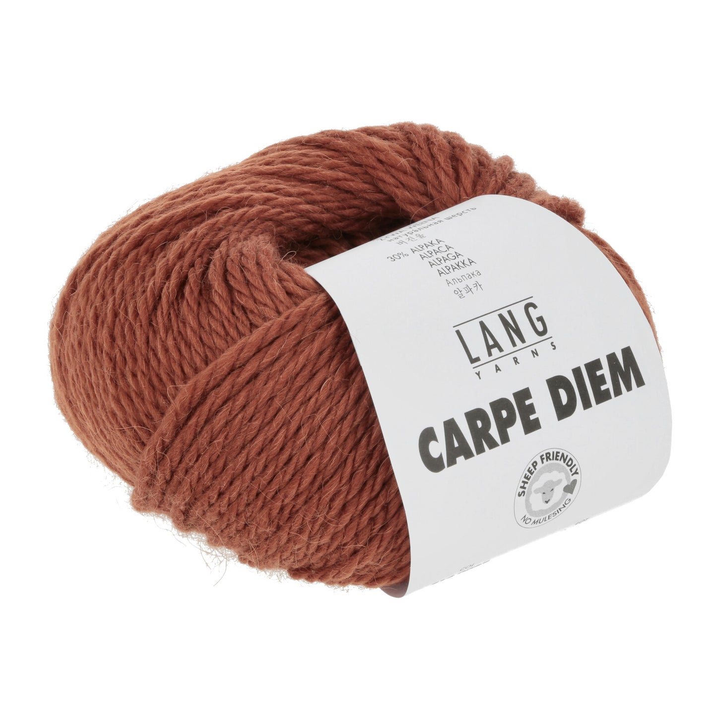 CARPE DIEM - BRAUN