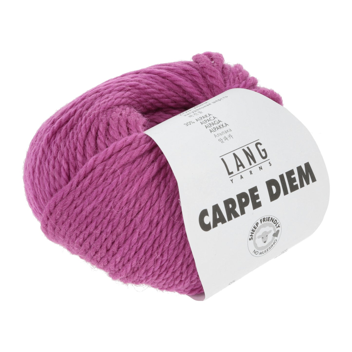 CARPE DIEM - FUCHSIA
